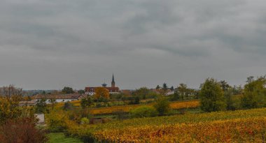 Autumn Colorful landscape in the German Southern Wine Route in Ruppertsberg Germany clipart