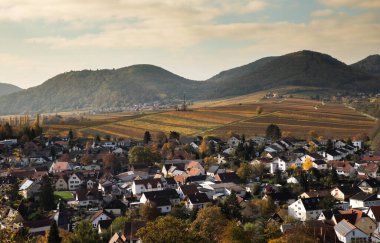 Panoramic view from the little Kalmit viewpoint over Ilbesheim city in the German Southern Wine Route clipart