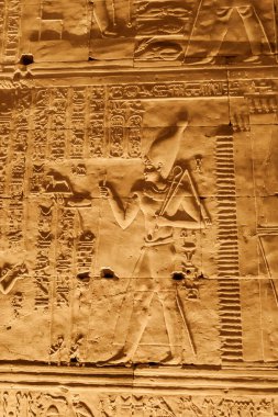 Edfu Tapınağı 'nın detaylı görüntüsü, Afrika' daki Horus tapınağı.