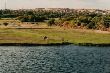 Aswan yakınlarındaki bir tekneden Nil manzarası