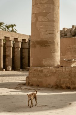 Mısır 'daki Karnak Tapınağı' nın detaylı görüntüsü
