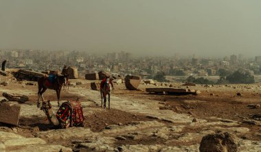 Giza Piramitleri 'nin platosundaki manzara
