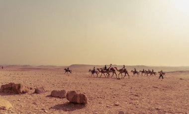 Giza Piramitleri 'nin platosundaki manzara. Turist taşıma hayvanlarıyla birlikte.