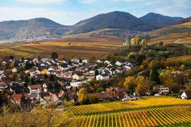 Kleine Kalmit 'in Ilbesheim üzerindeki panoramik manzarasından sonbahar renklerindeki üzüm bağlarına