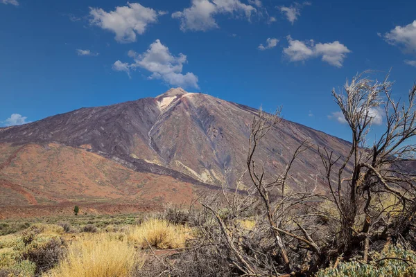 İspanya, Kanarya Adaları, Tenerife 'deki ünlü El Teide volkanı. Volkanik manzara, mavi gökyüzü ve beyaz bulutlar..