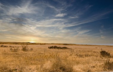 Bozkırda gün batımı - çayırda. Asya Kazakistan.