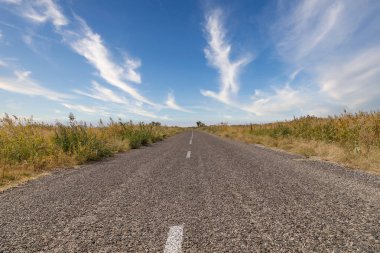 Kazakistan bozkırında asfalt yol kenarlarında sazlıklar ve beyaz bulutlu mavi gökyüzü.