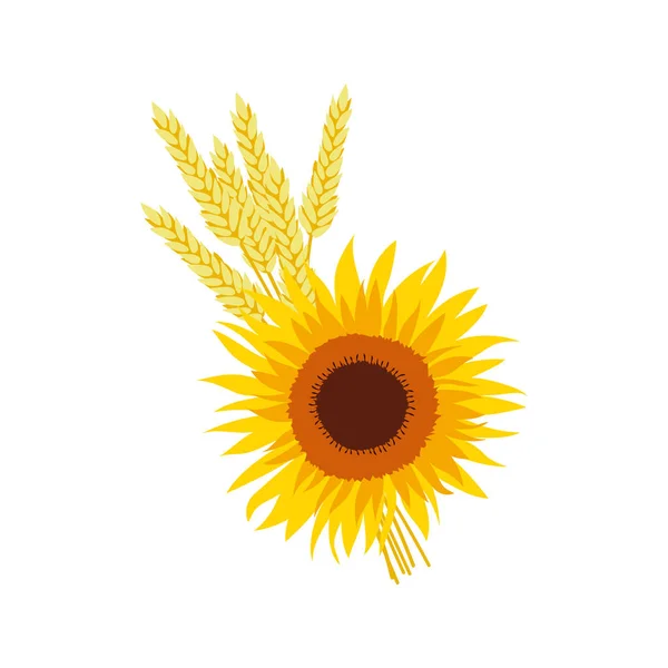Erntedank Komposition Sonnenblume Mit Ähren Aus Weizen Illustration Flacher Vektor — Stockvektor