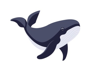 Whale vector flat illustration, isolated on white background. Seas and oceans, underwater world. Sea creatures. Big blue whale illustration. Aquatic marine mammal icon.