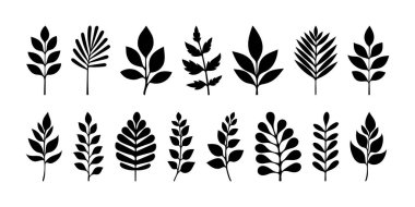 Siyah yaprak silueti, bitkisel dekoratif element, doğal bitki. Doğa tasarımı ya da dekorasyonu için botanik çizimler. Davetiyeler için yeşillik süslemesi, siyah dal. Yaprak siluetlerini ayarla.