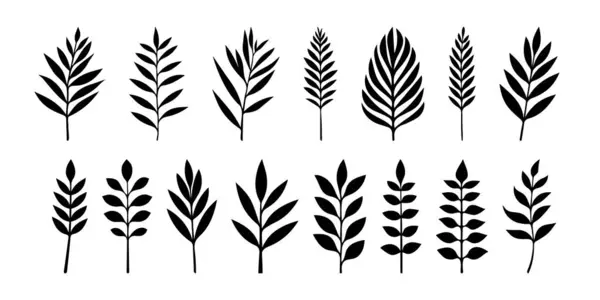 设置黑色叶型轮廓 草本装饰元素 天然植物 自然设计或装饰的植物学图解 请帖装饰 黑色枝条 片断叶型轮廓 — 图库矢量图片