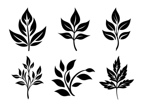设置黑色分枝与叶子 天然草本装饰元素 植物轮廓 春季设计或装饰的植物学插图 请柬的民间装饰 片断叶型轮廓 — 图库矢量图片