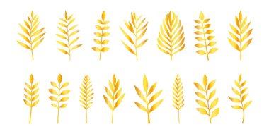 Altın yapraklı siluet, bitkisel dekoratif element, doğal bitki. Tasarım ya da dekor için son sınıf botanik çizimi. Davetiyeler için yeşillik süslemesi, altın dal. Yaprak siluetini ayarla.