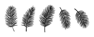 Vektör siyah palmiye yaprakları hazır, bitkisel element. Basit tropikal yaprakların toplanması. İzole edilmiş işaret, sembol ve simge olarak kullanılabilir. Yaz tropikal botanik vektör palmiye yaprağı çizimleri.