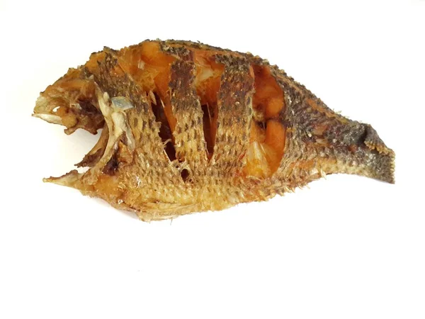 Close Fried Nile Tilapia Fish White Background — Stock Photo, Image