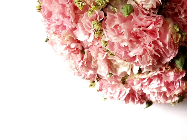 Buquê Flores Rosa Fundo Branco — Fotografia de Stock