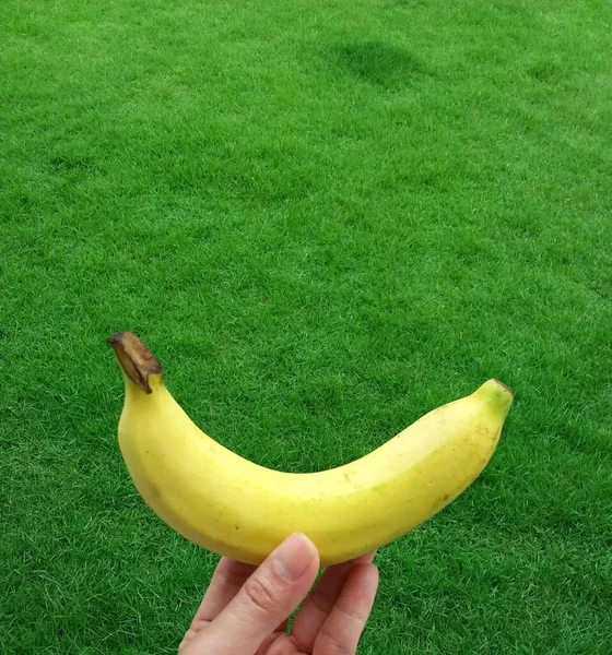 Fruta Madura Del Plátano Sobre Fondo Hierba Verde —  Fotos de Stock