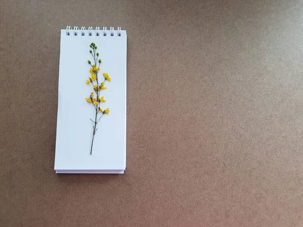 Gelbe Trockene Blume Auf Weißem Notizpapier Mit Braunem Hintergrund — Stockfoto