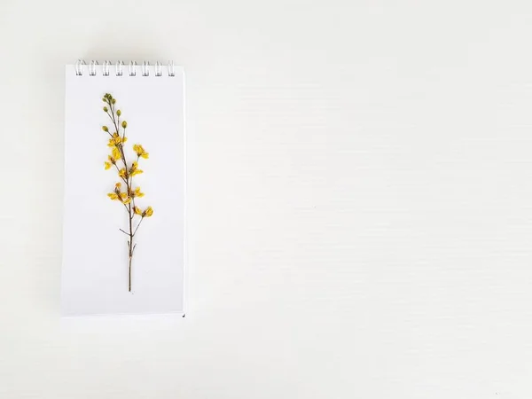 Сухой Цветок Бумаге Белым Фоном — стоковое фото