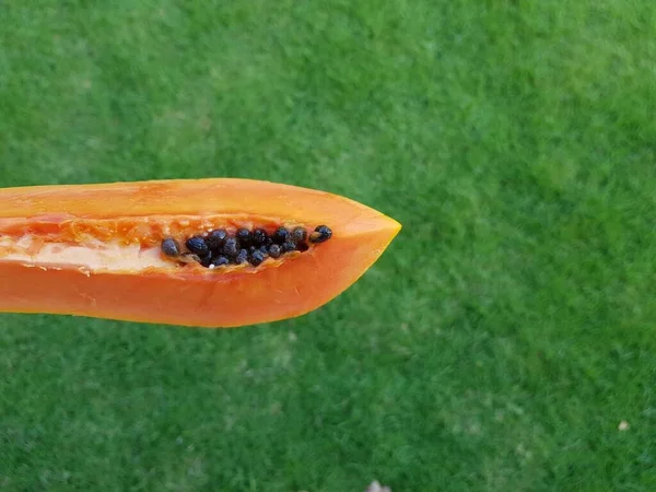 緑の草の背景に熟したパパイヤの果実 — ストック写真