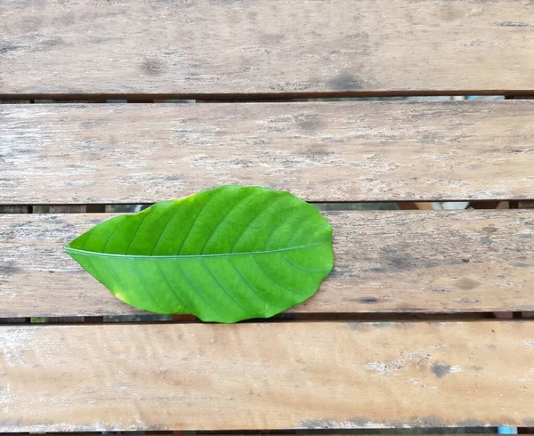 Grüne Blätter Auf Holz Textur Hintergrund — Stockfoto
