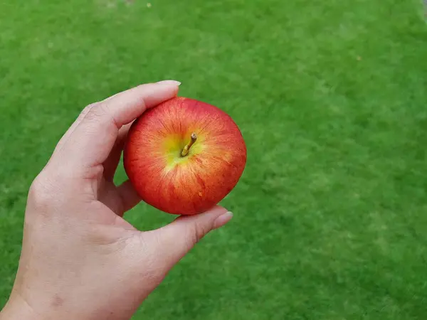 Hand Hält Roten Apfel Auf Grünem Hintergrund — Stockfoto