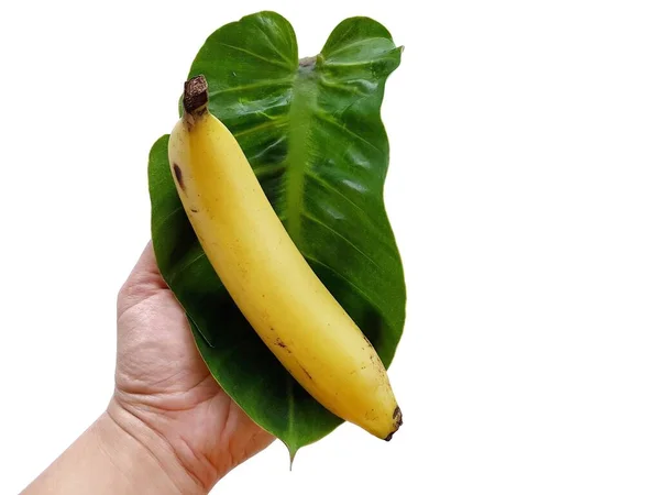 Verse Rijpe Banaan Witte Geïsoleerde Achtergrond — Stockfoto