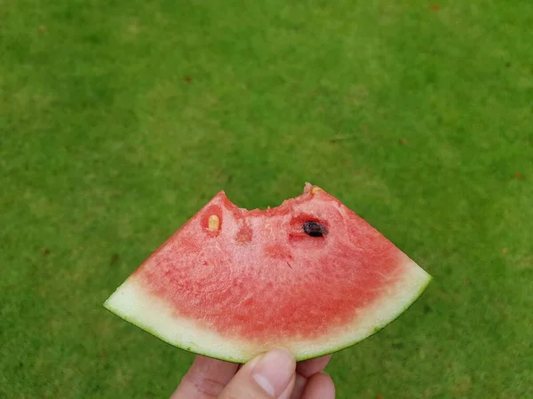 Fresh Slice Watermelon Fruit Green Grass Background — Stock Photo, Image