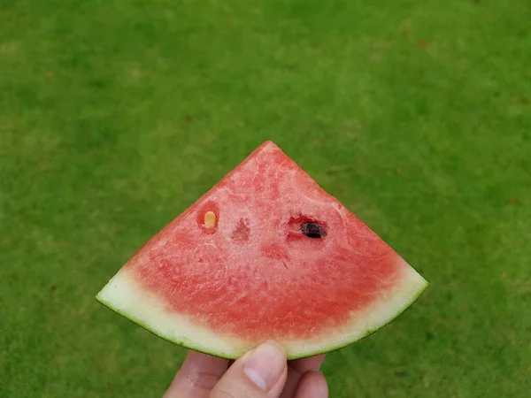 Frische Wassermelone Auf Dem Grünen Gras Hintergrund — Stockfoto