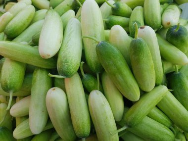 Markette taze salatalık