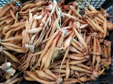 Piyasada taze parmak kökü.