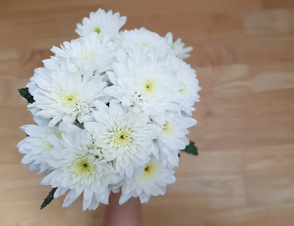 Vue Dessus Fleur Chrysanthème Blanche Sur Fond Brun — Photo