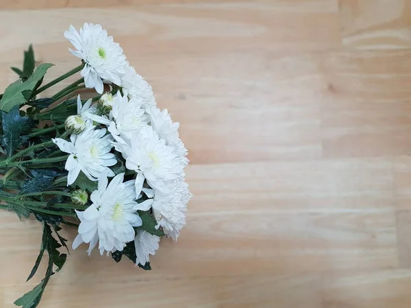 Weiße Chrysantheme Blume Auf Holz Hintergrund — Stockfoto