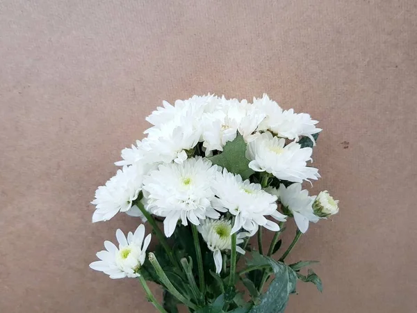 Blumenstrauß Aus Chrysanthemen Auf Braunem Hintergrund — Stockfoto