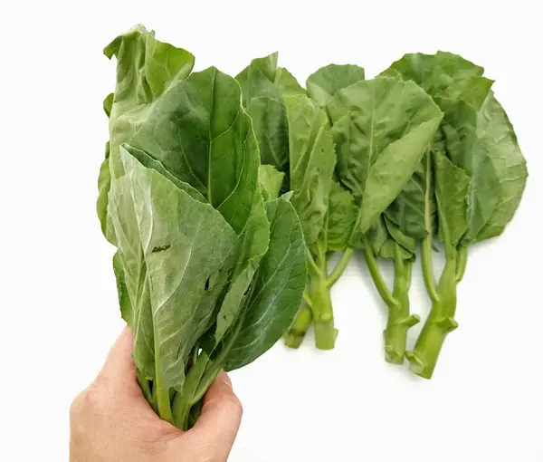 Fresh Chinese Kale Hand White Background — Stock Photo, Image