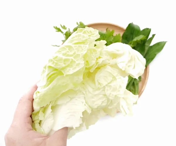 Vegetable White Radish Hand White Background — Stock Photo, Image