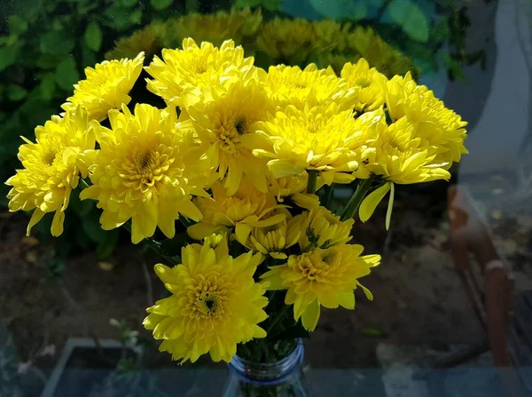 Gelbe Chrysanthemenblume Auf Fensterglas Mit Natürlichem — Stockfoto