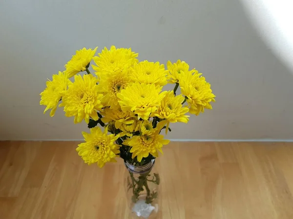 Gelbe Chrysanthemenblüte Betonwand — Stockfoto