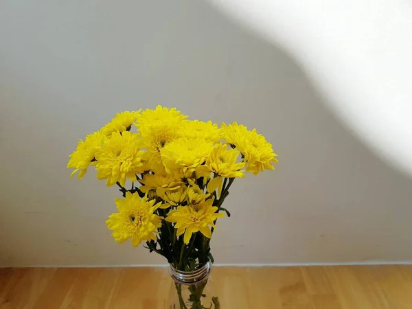 Żółty Kwiat Chryzantemy Betonowej Ścianie — Zdjęcie stockowe