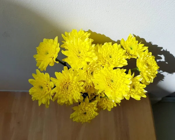 Vista Superior Flor Crisântemo Amarelo Parede Concreto — Fotografia de Stock