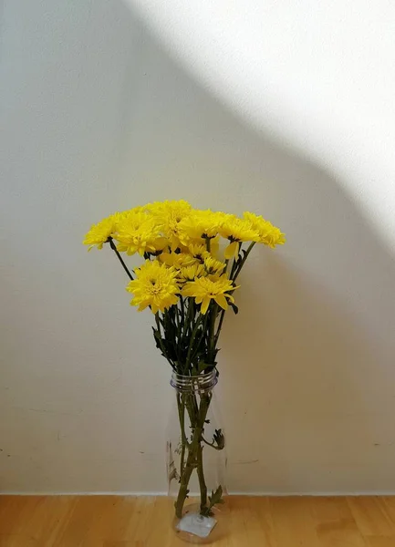 Gelbe Chrysanthemenblüte Betonwand — Stockfoto