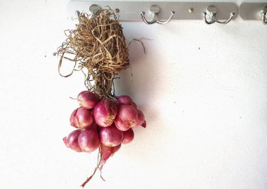 Beton duvarda taze soğan.
