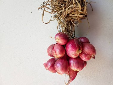 Beton duvarda kırmızı soğan.