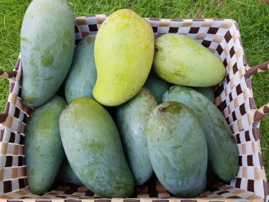 Mangoyu sepete koy..