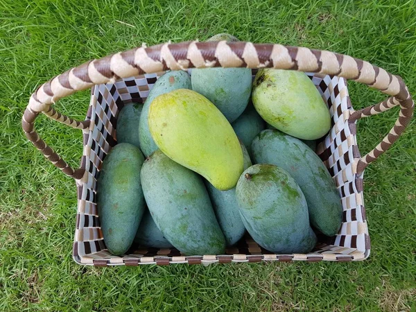 Frutas Mango Una Canasta Con Fondo Hierba Verde — Foto de Stock