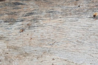 Ahşap arka plan. Ahşabın soyut dokusu