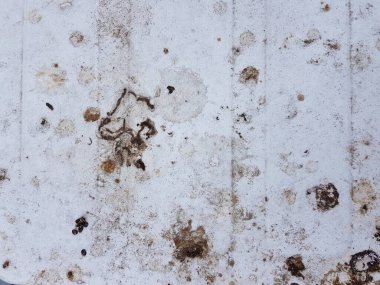 Demir zemin üzerinde kuş dışkıları.