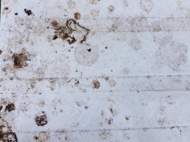 Demir zemin üzerinde kuş dışkıları.