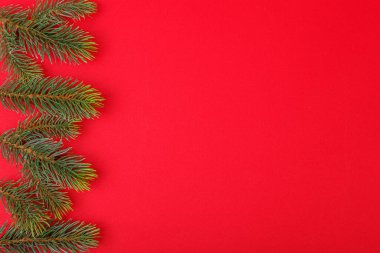 Kırmızı arka planda konileri olan Noel ağacı dalları