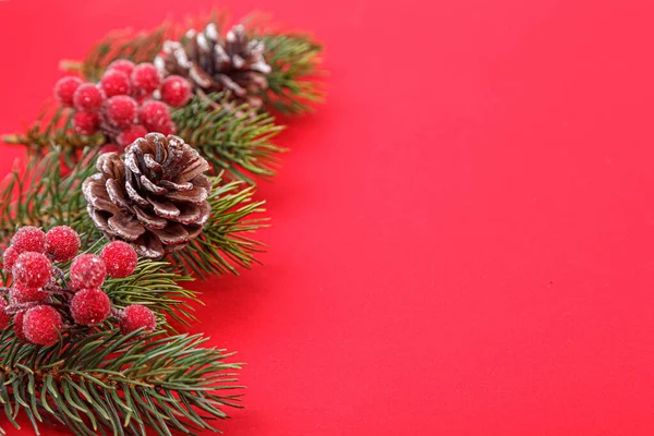 Ramos Árvore Natal Com Cones Fundo Vermelho Close — Fotografia de Stock